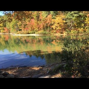 Meet your Posher, Padma